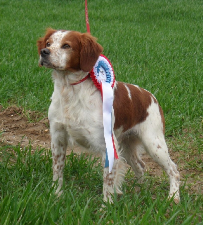 De tremouard - DIAZO devient Champion du LUXEMBOURG et Champion IB !