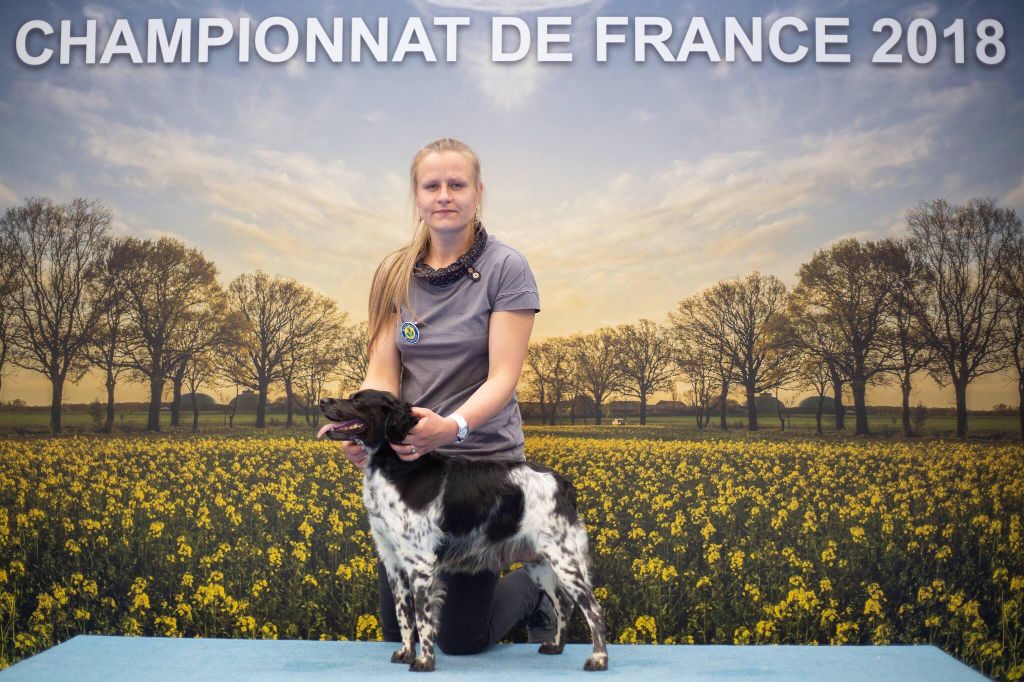 De tremouard - CHAMPIONNAT DE FRANCE 2018 : 2 titres de Champion pour DIAZO et MISS! 