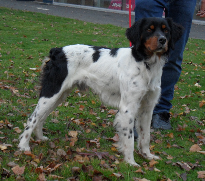 Larzac De tremouard