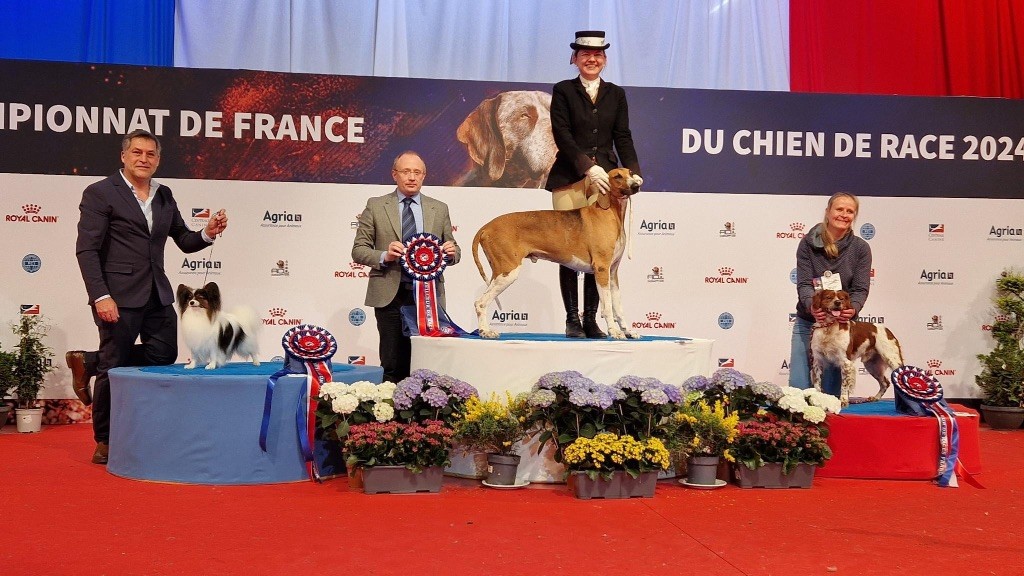 De tremouard - Week-end à MONTLUCON: Spéciale de Race et Championnat de France !