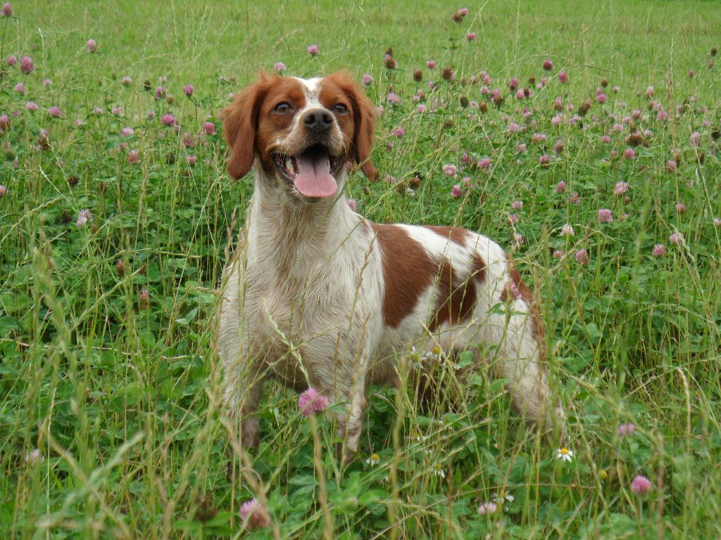 De tremouard - JUNE en Equipe de FRANCE !