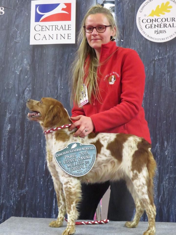 De tremouard - Salon de l'Agriculture 2018: HULFEN, gagnante du 7ème Groupe !