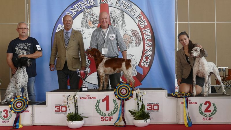 De tremouard - LUC et MISS de Trémouard, MEILLEURS DE RACE à Villepinte!